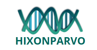 Hixonparvo